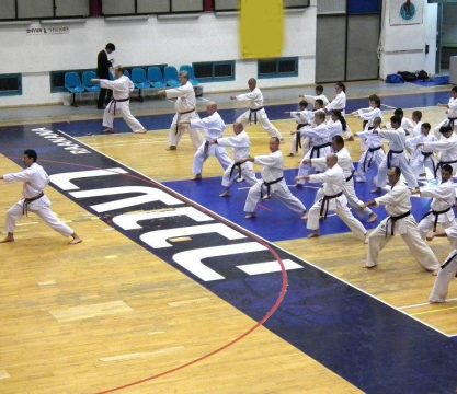 שתלמות עם מאסטר הירוקאזו קאנאזווה דאן 10 יו