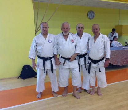 השתלמות עם סנסאיי דירק היינה דאן 8 מבלגיה.מרץ 2013
