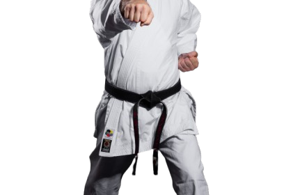 אגרופים בקראטה